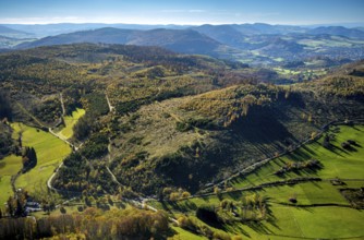 Aerial view, forest area with forest damage in the Petersborn district of Brilon, Sauerland, North