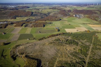 Aerial view, forest area with forest damage and wind farm in the background in the district of