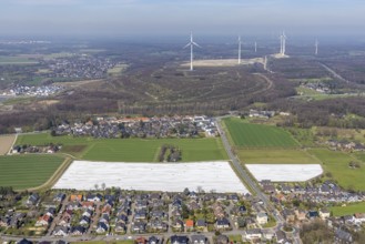 Aerial view, asparagus field, construction site, Halde Lohberg Norderweiterung, wind turbines,