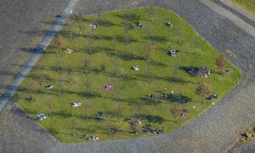 Aerial view, small sunbathing lawn on the slag heap between Westfalenpark, Emscher and viaduct