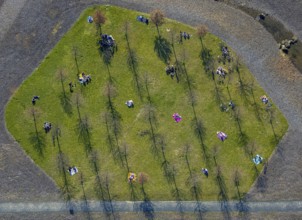 Aerial view, small sunbathing lawn on the slag heap between Westfalenpark, Emscher and viaduct