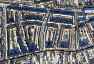 Aerial view, residential area Rheinische Straße, Althoffblock in the snow, Dorstfelder Brücke,