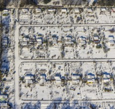 Aerial view, Buschmühle Westfalenpark, Gartenverein Am Neuen Hain, Ruhrallee, Dortmund, Ruhr area,