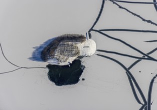 Aerial view, snow-covered island with trees in Phoenix Lake, Hörde, Dortmund, Ruhr area, North