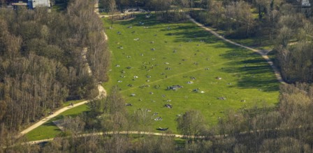 Aerial view, the Tremoniapark a large playground and sunbathing lawn, spring weather on Dortmund's