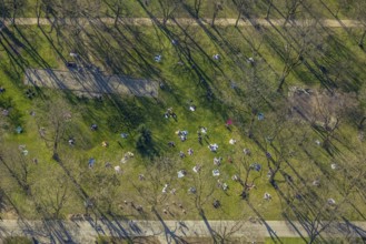 Aerial view, lawns in Westpark, spring weather on Dortmund's lawns, Dortmund, Ruhr area, North