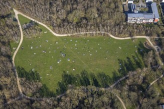 Aerial view, the Tremoniapark a large playground and sunbathing lawn, spring weather on Dortmund's