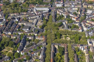 Aerial view, green Mallinckrodtstraße and Nordmarkt, Dortmund North, Dortmund, Ruhr area, North