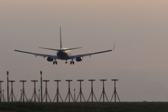 Boeing 737 jet aircraft of Ryanair airlines in flight landing at sunset at London Stansted airport,