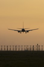 Boeing 737 jet aircraft of Ryanair airlines in flight landing at sunset at London Stansted airport,