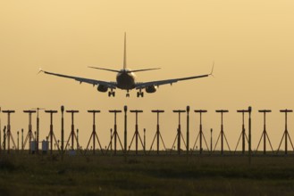 Boeing 737 jet aircraft of Ryanair airlines in flight landing at sunset at London Stansted airport,