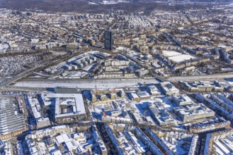 Aerial photo, city centre, ARAG Tower, Düsseltal, Düsseldorf, Rhineland, North Rhine-Westphalia,