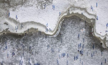 Aerial view, ice rink, ice skaters and pedestrians on frozen Rhine meadow in Lörrick near the