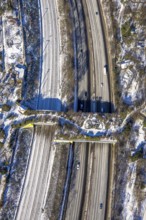 Aerial view, pedestrian bridge and green bridge at the zoo over the A3 motorway, Duissern,