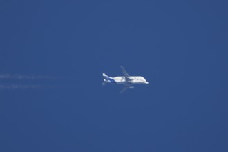 Airbus A300-600ST Super Transporter or Beluga aircraft in flight in a blue sky with vapour trails