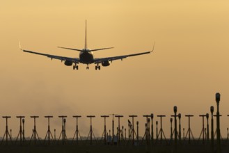 Boeing 737 jet passenger aircraft of Ryanair airlines landing over runway lights at sunset, London