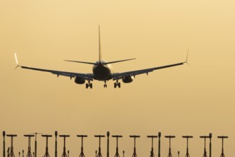 Boeing 737 jet passenger aircraft of Ryanair airlines landing over runway lights at sunset, London