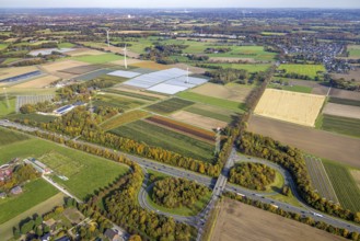 Aerial view, agricultural plantation cultivation Auf der Höhe in the district Kirchhellen-Nord-Ost