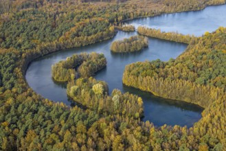 Aerial view, Heidesee surrounded by autumnal forest in the district Kirchhellen-Süd in Bottrop,