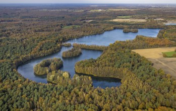 Aerial view, Heidesee surrounded by autumnal forest in the district Kirchhellen-Süd in Bottrop,