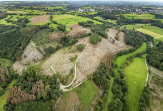 Aerial photograph, forest damage near the village of Brenscheid in Breckerfeld, Sauerland, North