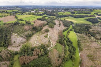 Aerial photograph, forest damage near the village of Brenscheid in Breckerfeld, Sauerland, North
