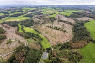 Aerial view, forest damage at the fishing ponds Angelparadies Steinbachtal in Breckerfeld,
