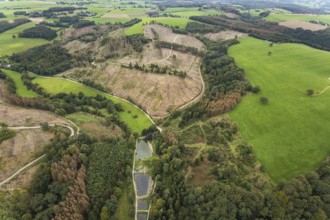 Aerial view, forest damage at the fishing ponds Angelparadies Steinbachtal in Breckerfeld,
