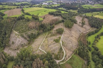Aerial photograph, forest damage near the village of Brenscheid in Breckerfeld, Sauerland, North