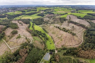 Aerial view, forest damage at the fishing ponds Angelparadies Steinbachtal in Breckerfeld,