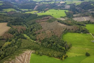 Aerial view, forest damage near the village of Boßel in Breckerfeld, Sauerland, North