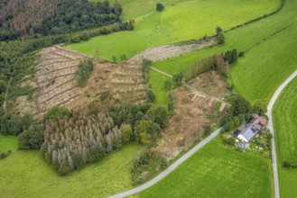 Aerial view, forest damage near the village of Boßel in Breckerfeld, Sauerland, North