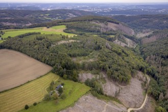 Aerial view, forest area with forest damage at the district Waldbauer Zurstraße in Breckerfeld,