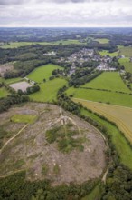 Aerial view, forest area with forest damage with view of district Waldbauer Zurstraße in