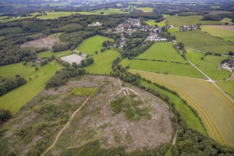 Aerial view, forest area with forest damage with view of district Waldbauer Zurstraße in