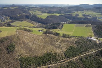 Aerial photo, forest dieback Thülener Bruch, Plattenberg, Brilon, Sauerland, North
