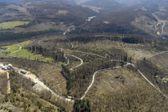 Aerial photo, Bilsteinhalde, serpentines, forest dieback, Gudenhagen, Brilon, Sauerland, North
