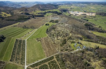 Aerial view, nature reserve Poppenberg, forest dieback, hut Ski-Club Brilon, Brilon, Sauerland,
