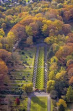 Aerial view, avenue of trees in the park cemetery in the Fuhlenbrock district of Bottrop, Ruhr