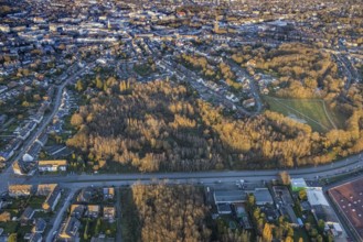 Aerial view, park with biotope in the evening light between Grünewaldstraße and Südring in the