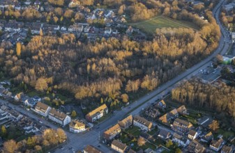Aerial view, park with biotope in the evening light between Grünewaldstraße and Südring in the