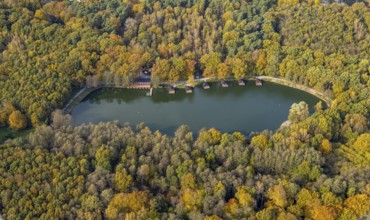 Aerial view, autumnal forest at the trout lake with fishing park Zur Grafenmühle in the district