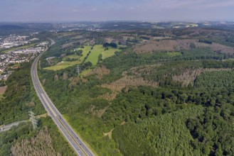Aerial photo, forest area with forest damage in Neheim, Arnsberg, Sauerland, North