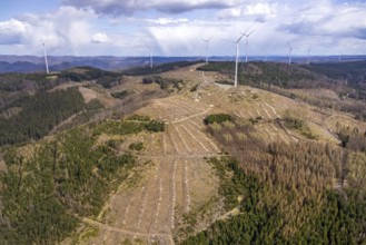 Aerial photo, wind turbines and forest damage in the Banfe forest area, Bad Laasphe, Siegerland,