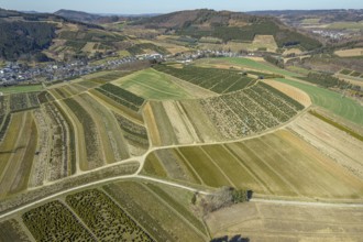 Aerial view, tree plantations, nature reserve Elpetal, meadows and fields, Heringhausen, Bestwig,