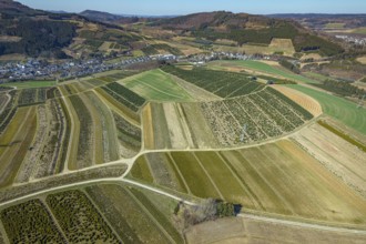 Aerial view, tree plantations, nature reserve Elpetal, meadows and fields, Heringhausen, Bestwig,