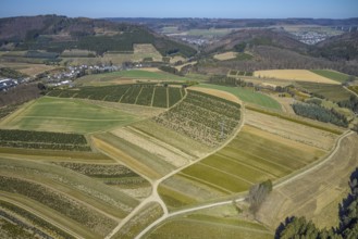 Aerial view, tree plantations, nature reserve Elpetal, meadows and fields, Heringhausen, Bestwig,