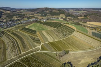 Aerial view, tree plantations, nature reserve Elpetal, meadows and fields, Heringhausen, Bestwig,