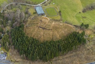 Aerial photo, forest damage in the forest area Friedwald, Saßmannshausen, Bad Laasphe, Siegerland,