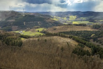 Aerial photo, forest damage in the forest area Friedwald, Saßmannshausen, Bad Laasphe, Siegerland,